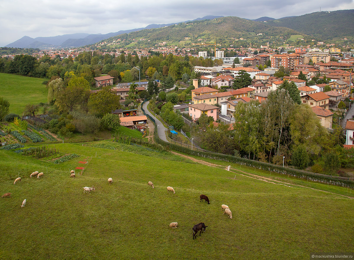 Bergamo